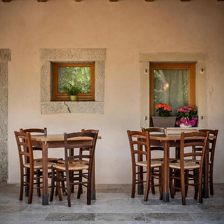Agriturismo Il Bosco Camere วิตโตรีโอ เวเนโต ภายนอก รูปภาพ