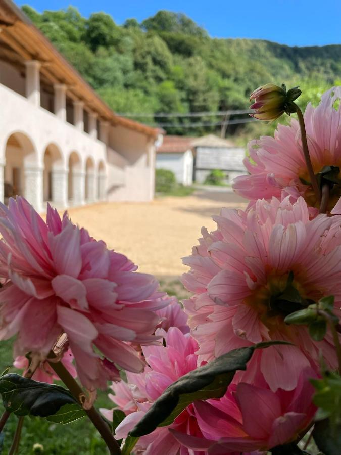 Agriturismo Il Bosco Camere วิตโตรีโอ เวเนโต ภายนอก รูปภาพ